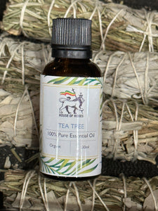 Tea Tree