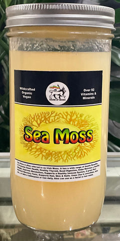 Sea Moss Gel Large