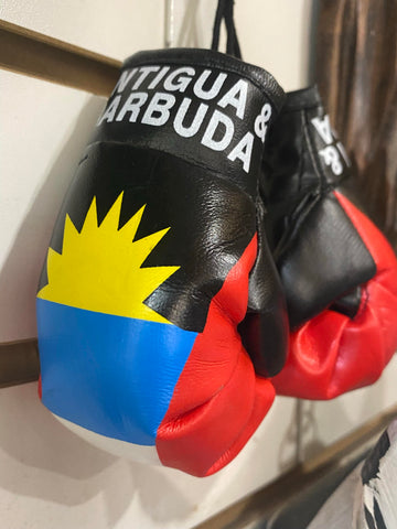 Antigua Boxing Gloves