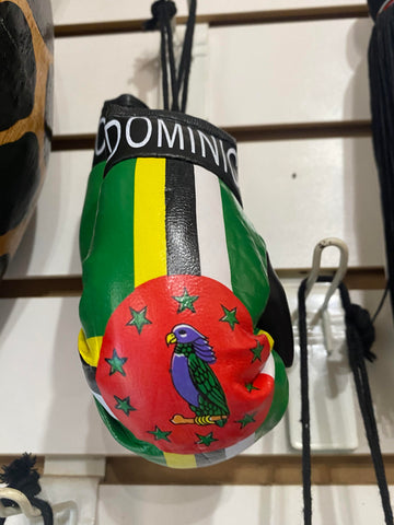 Domonica Boxing Gloves