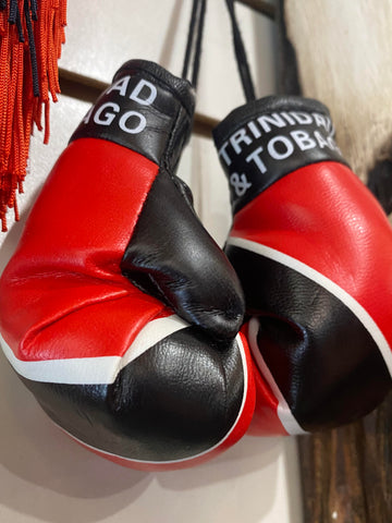 Trinidad Boxing Glove