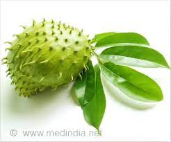 Soursop Leaves