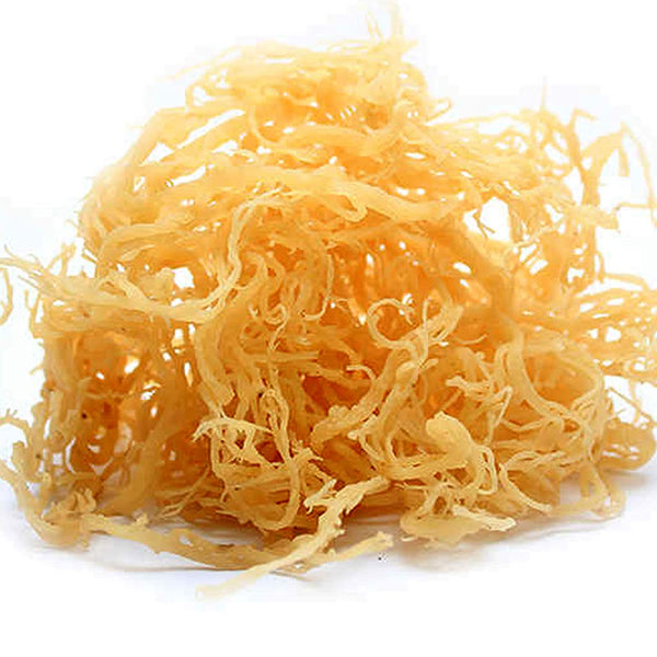 Organic Raw Sea Moss (Irish Moss)